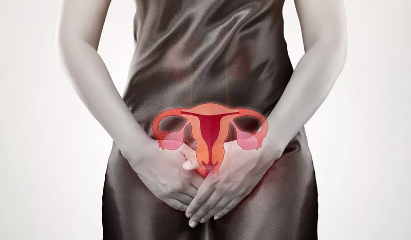 L’Utérus Artificiel : Une avancée médicale suscitant des questions éthiques